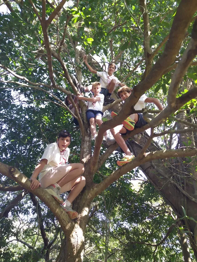 RECHERCHE CHEFS/CHEFTAINES SCOUTS FRANCOPHONES A HONG KONG